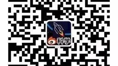 战队深度分析：魔术队的快乐策略